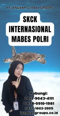 SKCK Internasional Mabes Polri Terpercaya Di Kabupaten Tanggamus